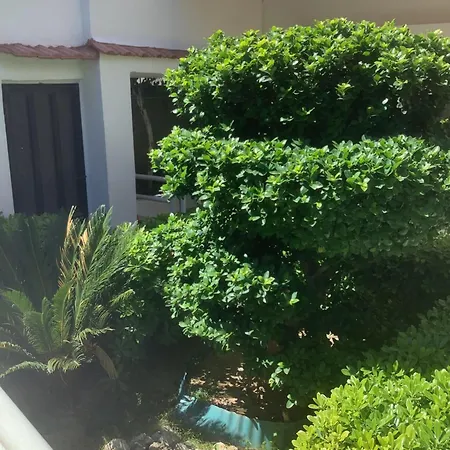 Kallipateira Rhodes City