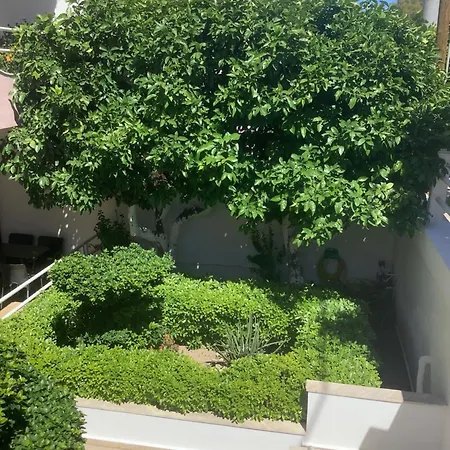 Dom wakacyjny Kallipateira Rhodes City